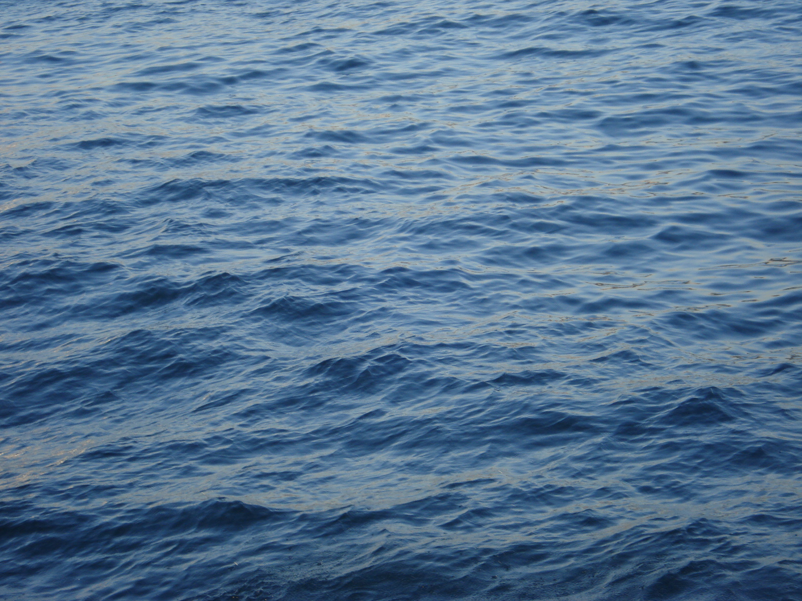 sea